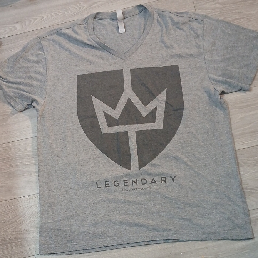 Legendary Gray V-Neck T-Shirt